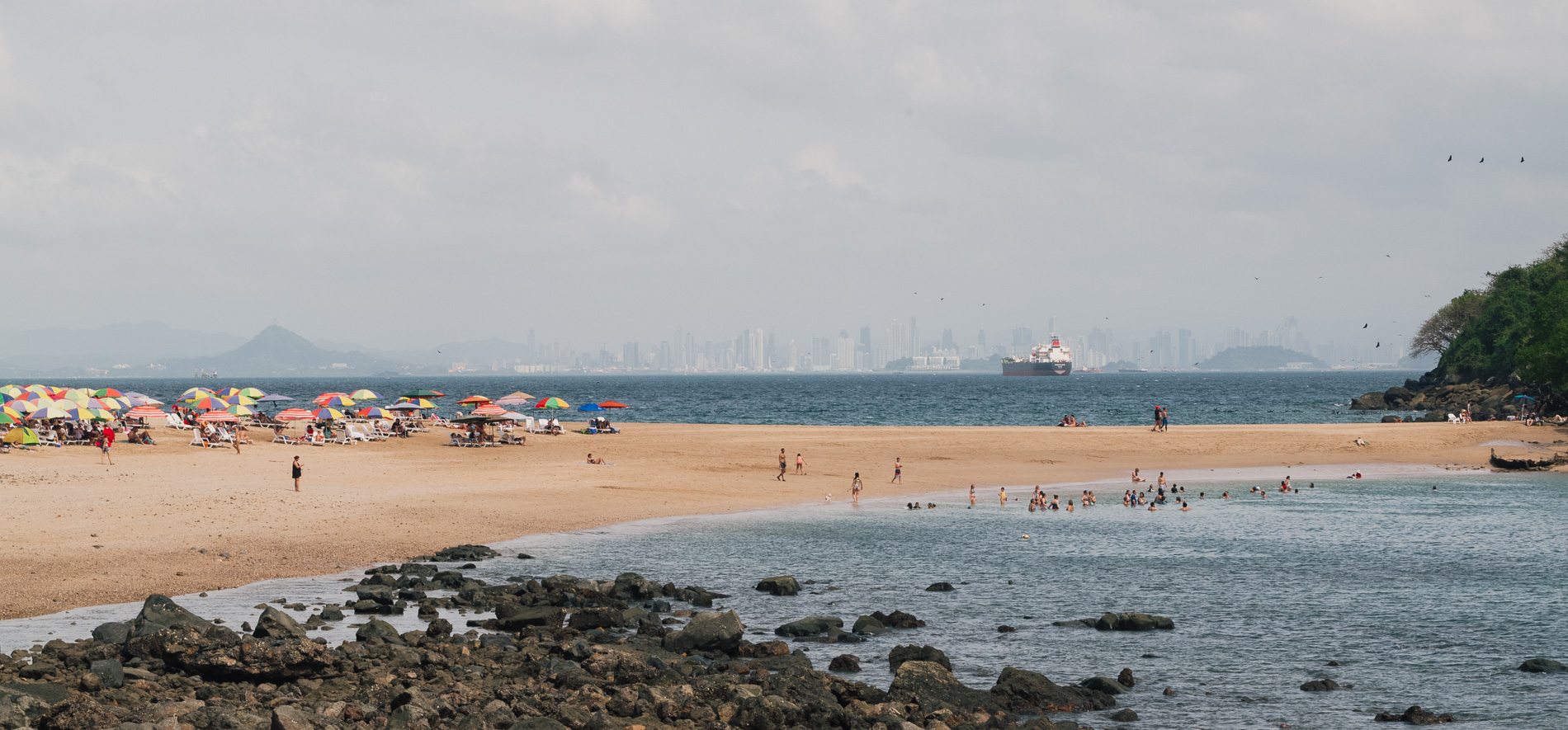 Tamandúa